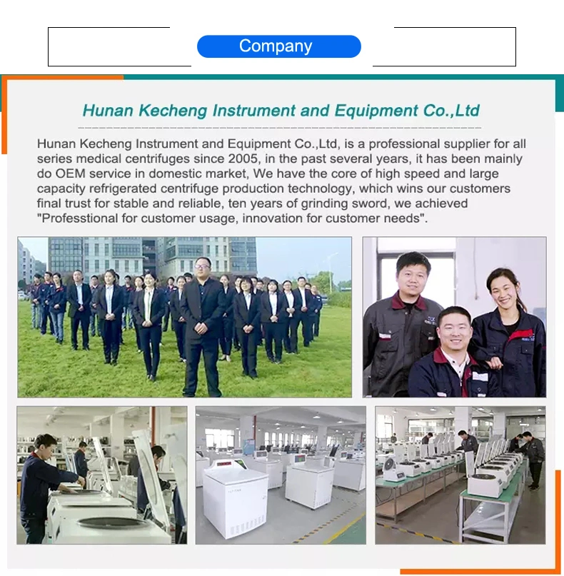 Kecheng Factory Lab Test Equipment High Flux Tissue Lyser Grind Machine KC-48